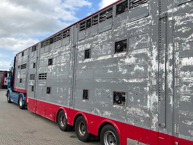 2015 pezzaioli sba31 vee transporteur “3 laags” - afbeelding 3 van  25