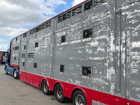 2015 pezzaioli sba31 vee transporteur “3 laags” - afbeelding 3 van  25
