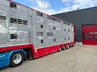 2015 pezzaioli sba31 vee transporteur “3 laags” - afbeelding 20 van  25