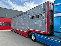 2015 pezzaioli sba31 vee transporteur “3 laags” - afbeelding 21 van  25