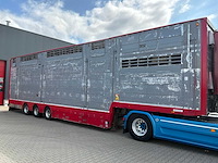 2015 pezzaioli sba31 vee transporteur “3 laags” - afbeelding 22 van  25