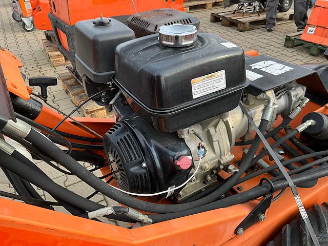 2016 barreto 1324d grondsleuvenfrees - afbeelding 14 van  16