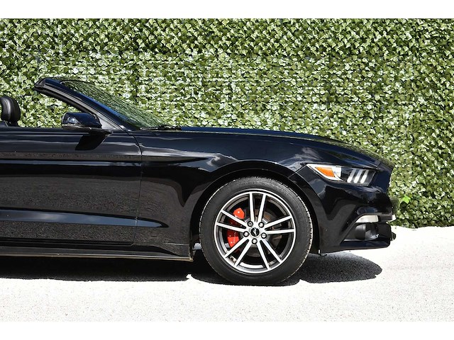 2016 ford mustang ecoboost convertible 2,3l i4 btw auto - afbeelding 2 van  63