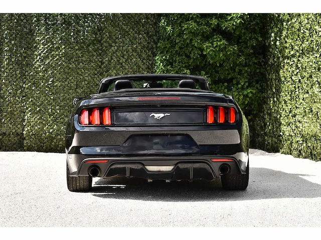 2016 ford mustang ecoboost convertible 2,3l i4 btw auto - afbeelding 7 van  63