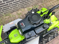 2016 grillo ruwtereingrasmaaier - afbeelding 3 van  7