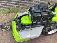 2016 grillo ruwtereingrasmaaier - afbeelding 4 van  7