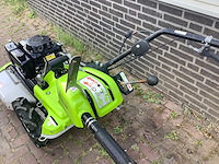 2016 grillo ruwtereingrasmaaier - afbeelding 5 van  7
