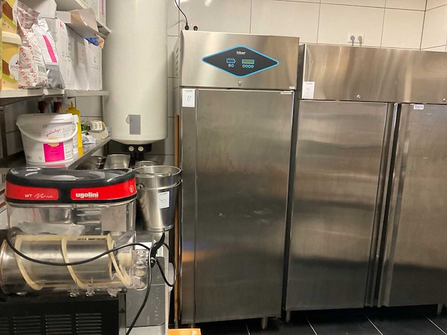 2016 hiber agf0072 -30 r4 diepvries - afbeelding 2 van  8