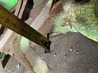 2016 krone e-collect 600-2 maïsvoorzetstuk (maïsbek) - afbeelding 40 van  42