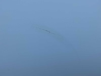 2016 mercedes-benz vito 111 cdi functional lang bedrijfswagen - afbeelding 14 van  33