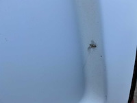 2016 mercedes-benz vito 111 cdi functional lang bedrijfswagen - afbeelding 15 van  33