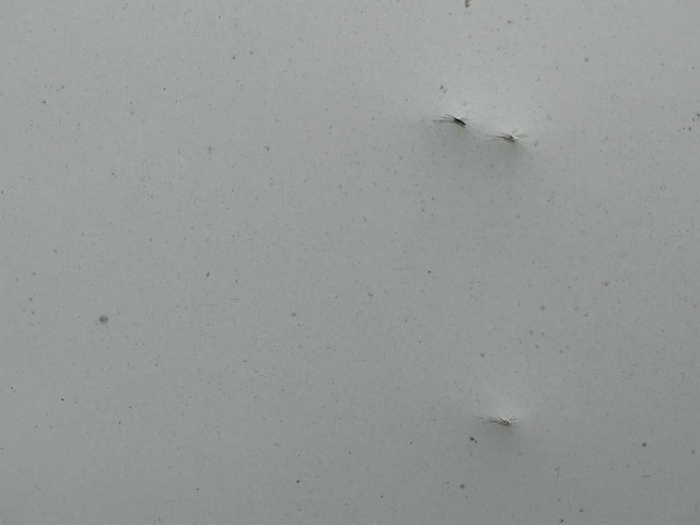 2016 opel combo bedrijfswagen (vv-769-g) - afbeelding 40 van  43