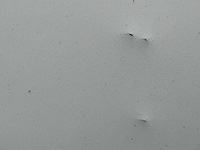 2016 opel combo bedrijfswagen (vv-769-g) - afbeelding 40 van  43