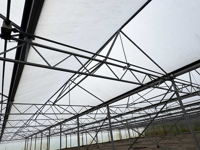 2016 vd heuvel kwekerij/foliekas (11.228m2) - afbeelding 6 van  33