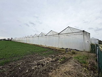 2016 vd heuvel kwekerij/foliekas (11.228m2) - afbeelding 8 van  33