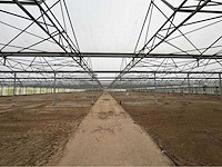 2016 vd heuvel kwekerij/foliekas (11.228m2) - afbeelding 12 van  33