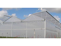 2016 vd heuvel kwekerij/foliekas (11.228m2) - afbeelding 29 van  33