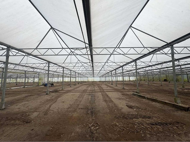 2016 vd heuvel kwekerij/foliekas (11.228m2) - afbeelding 30 van  33