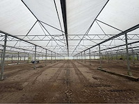 2016 vd heuvel kwekerij/foliekas (11.228m2) - afbeelding 30 van  33