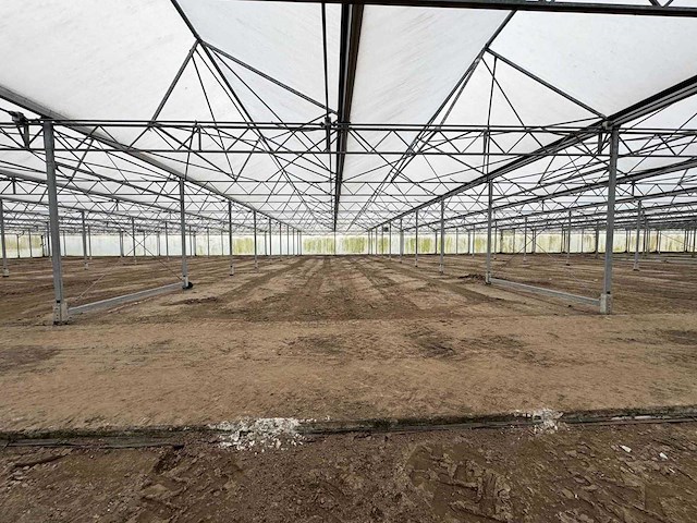 2016 vd heuvel kwekerij/foliekas (11.228m2) - afbeelding 31 van  33