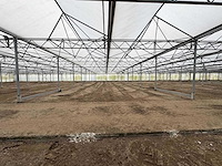 2016 vd heuvel kwekerij/foliekas (11.228m2) - afbeelding 31 van  33