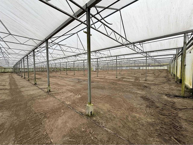 2016 vd heuvel kwekerij/foliekas (11.228m2) - afbeelding 32 van  33