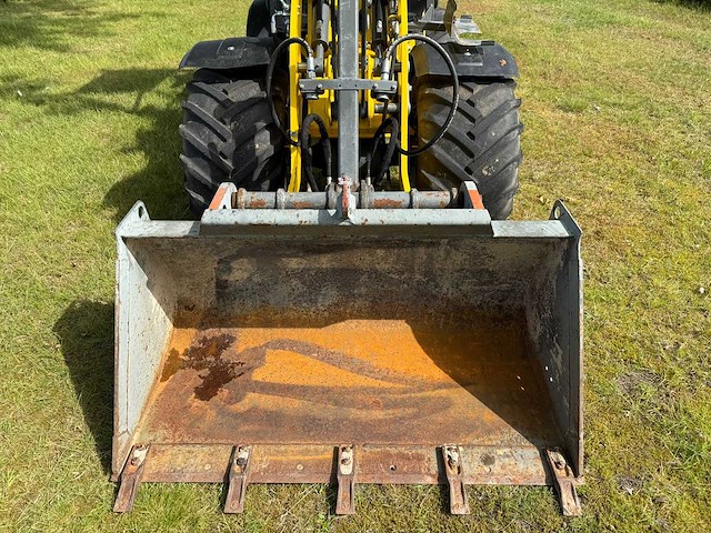 2016 wacker neuson wl20e shovel - afbeelding 8 van  12