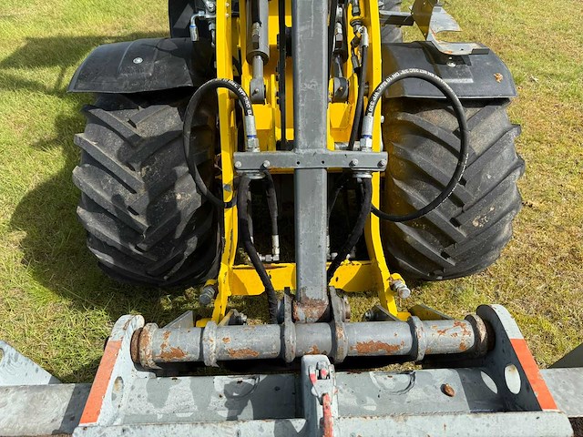 2016 wacker neuson wl20e shovel - afbeelding 9 van  12