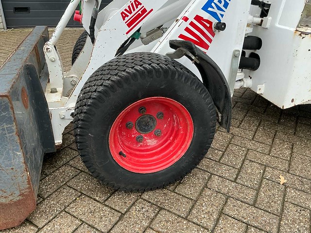 2017 100 knikmops - afbeelding 10 van  20