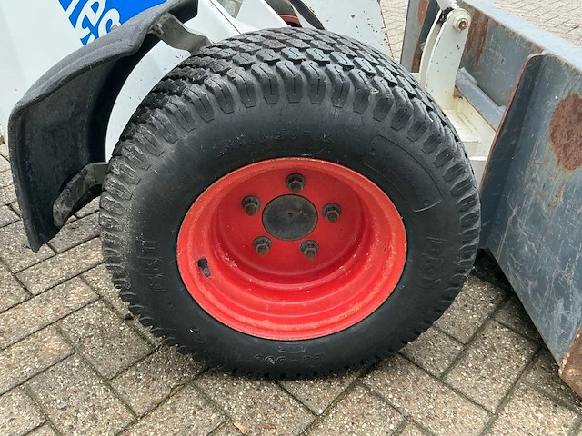 2017 100 knikmops - afbeelding 19 van  20