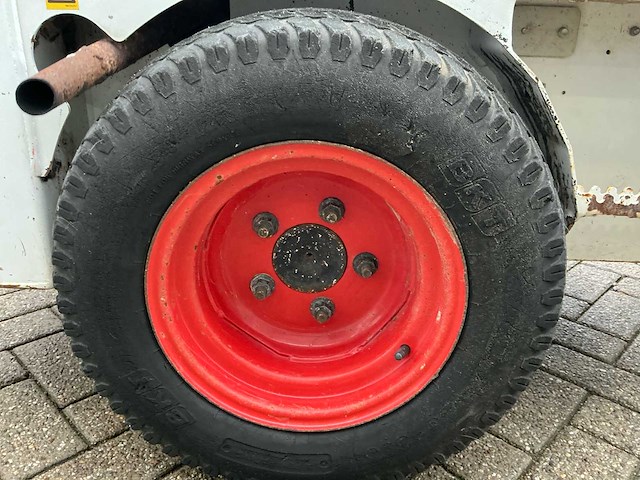 2017 100 knikmops - afbeelding 20 van  20