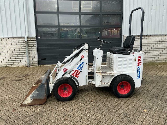 2017 100 knikmops - afbeelding 2 van  20