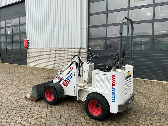 2017 100 knikmops - afbeelding 3 van  20