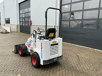 2017 100 knikmops - afbeelding 4 van  20