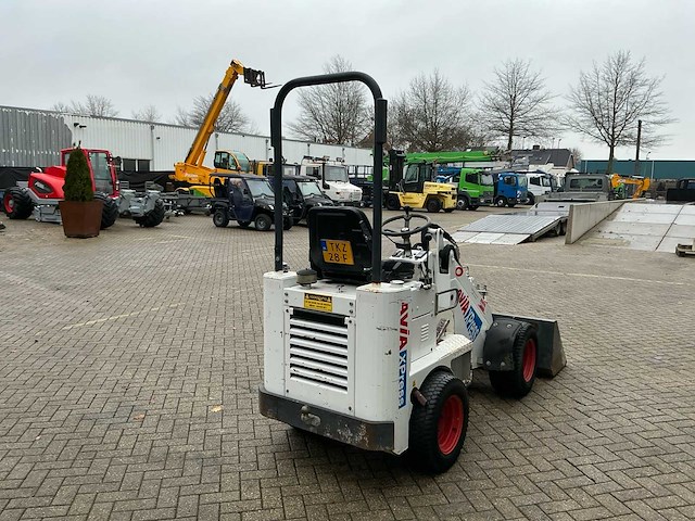 2017 100 knikmops - afbeelding 5 van  20