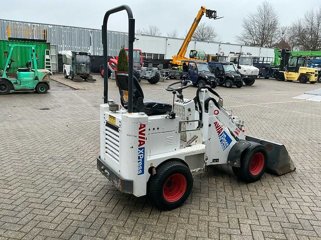 2017 100 knikmops - afbeelding 6 van  20