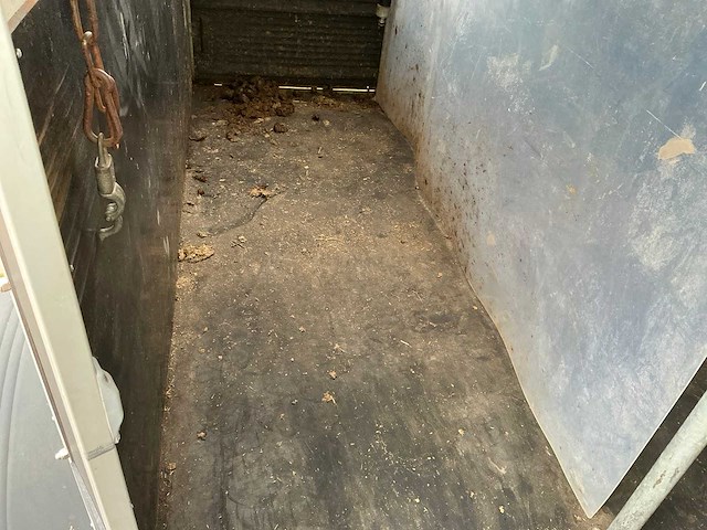 2017 bockmann pha-p-k 305165/270 paardentrailer - afbeelding 6 van  24