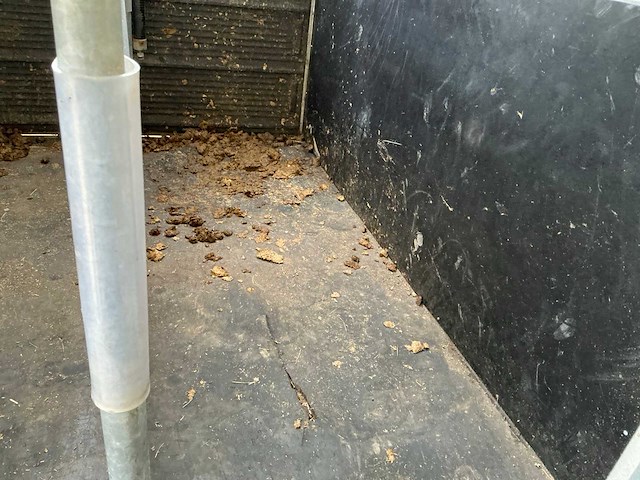 2017 bockmann pha-p-k 305165/270 paardentrailer - afbeelding 7 van  24