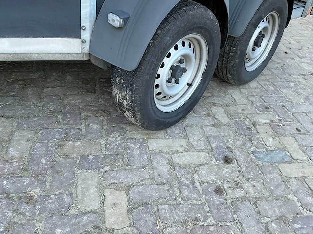 2017 bockmann pha-p-k 305165/270 paardentrailer - afbeelding 10 van  24