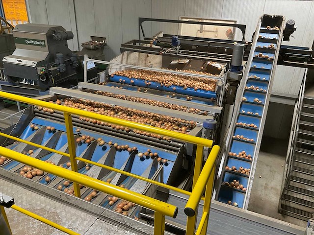 2017 elisam ellips optische uien sorteerlijn - afbeelding 2 van  43