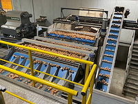 2017 elisam ellips optische uien sorteerlijn - afbeelding 2 van  43