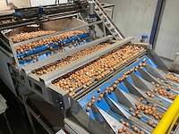 2017 elisam ellips optische uien sorteerlijn - afbeelding 3 van  43