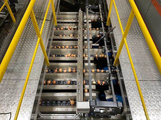 2017 elisam ellips optische uien sorteerlijn - afbeelding 8 van  43