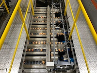 2017 elisam ellips optische uien sorteerlijn - afbeelding 8 van  43