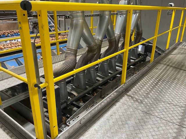 2017 elisam ellips optische uien sorteerlijn - afbeelding 9 van  43