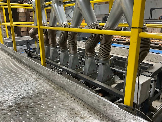 2017 elisam ellips optische uien sorteerlijn - afbeelding 10 van  43