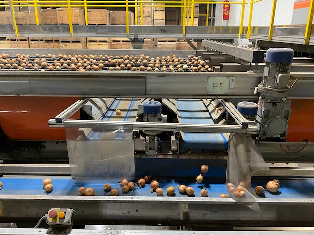 2017 elisam ellips optische uien sorteerlijn - afbeelding 13 van  43