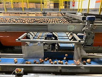 2017 elisam ellips optische uien sorteerlijn - afbeelding 13 van  43