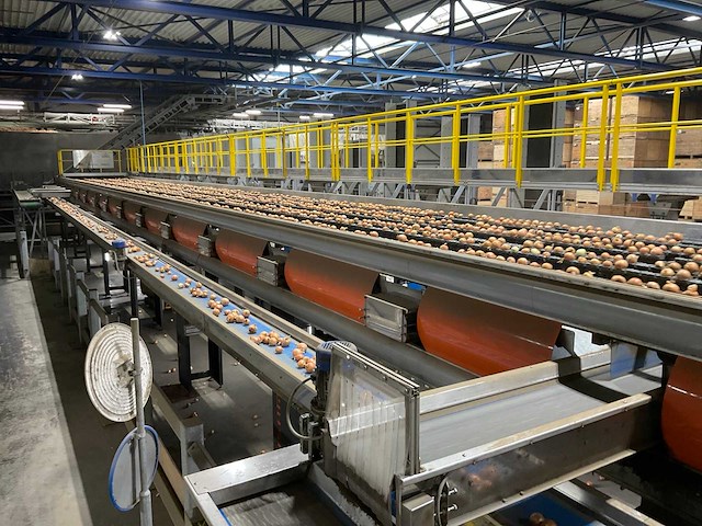 2017 elisam ellips optische uien sorteerlijn - afbeelding 14 van  43