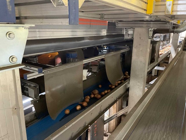 2017 elisam ellips optische uien sorteerlijn - afbeelding 15 van  43